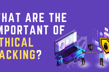 What Are The Important of Ethical Hacking?
