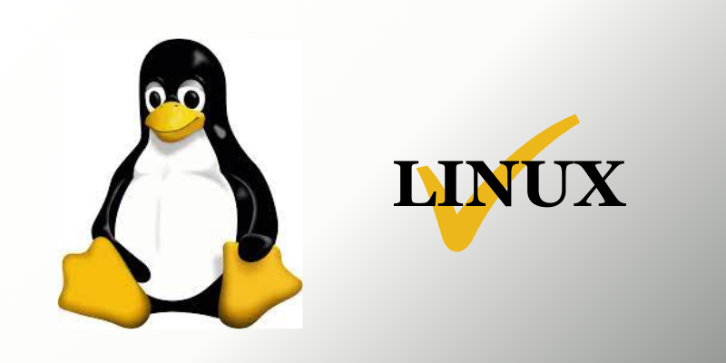 LINUX