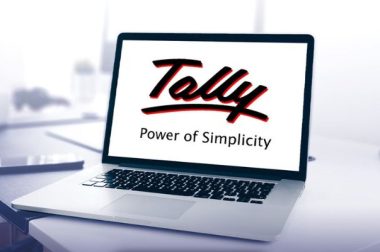 Which Advanced Techniques Can Professional Accountants Use in Tally?