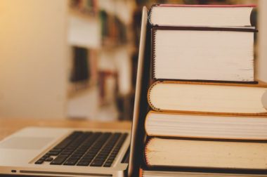 Why Is Tally Considered the Best Software for GST Accounting?
